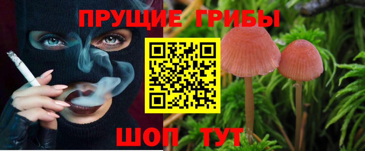 Псилоцибиновые грибы мицелий  Вход с VPN  Чернушка 