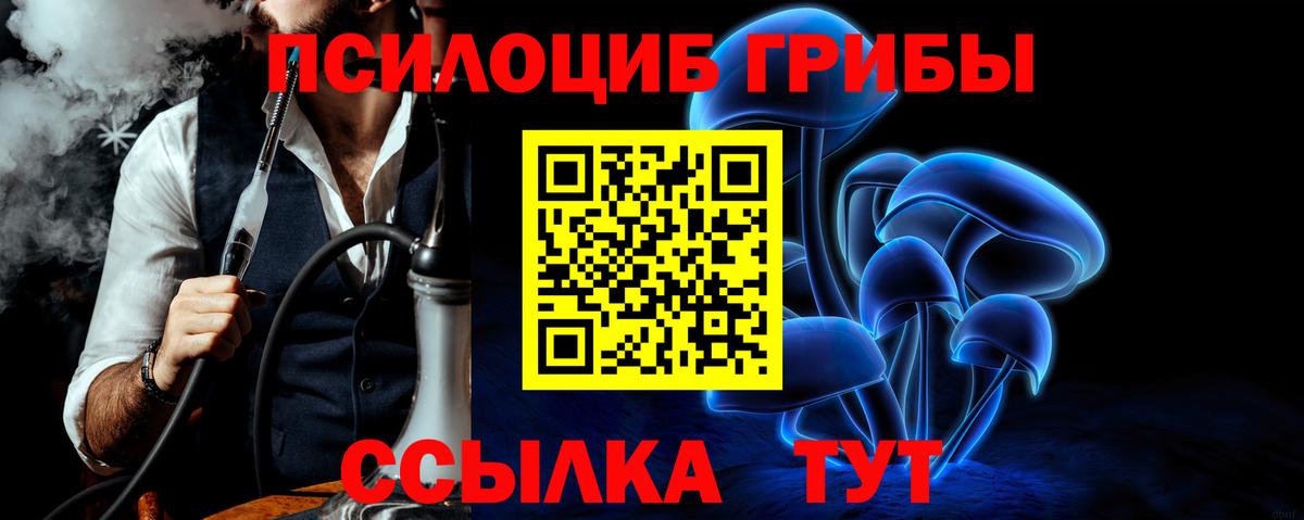 Галлюциногенные грибы Psilocybine cubensis Чернушка